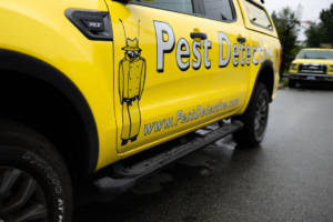 Winter pests to look out for