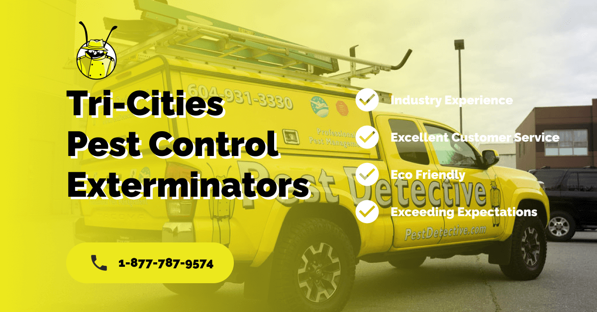 TriCities Pest Control Exterminators Pest Detective